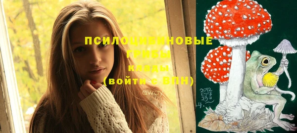 дмт Медногорск