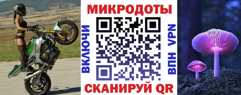 Галлюциногенные грибы Psilocybe Староминская